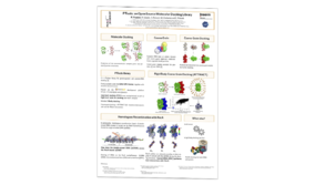 ICIP 2026 Congress Poster
